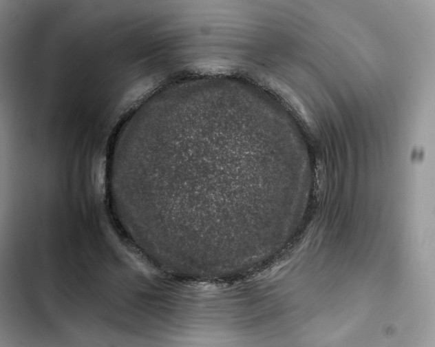 X0000102510494200808221820