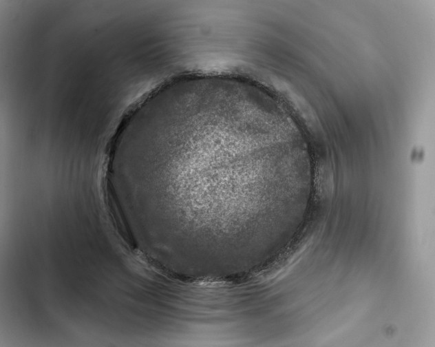X0000102510495200808221820