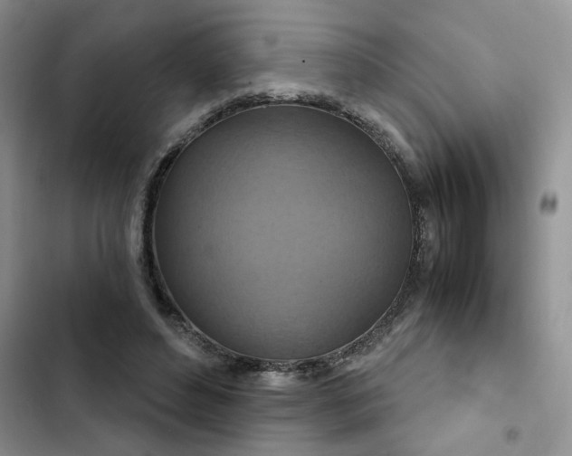 X0000102510496200808221820