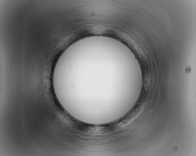 X0000102510497200808221820
