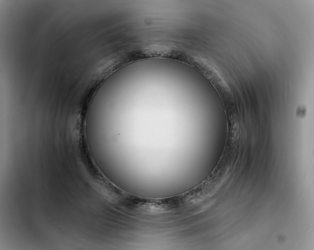 X0000102510498200808221820