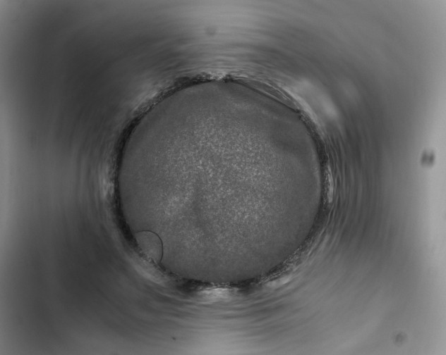 X0000102510499200808221820