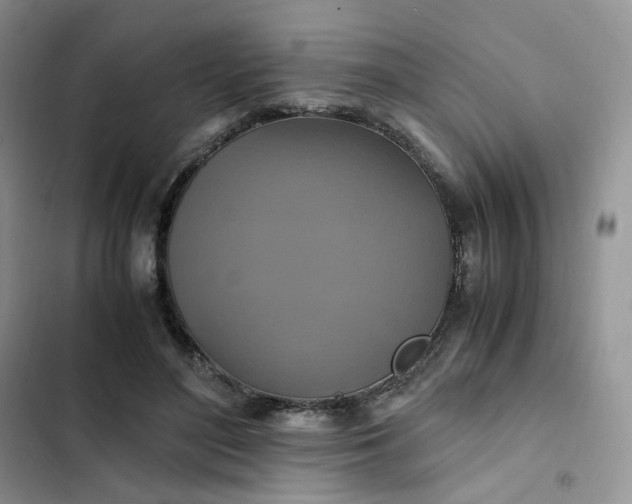 X0000102510500200808221820