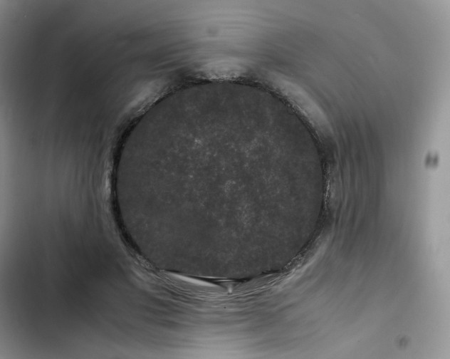 X0000102510501200808221820
