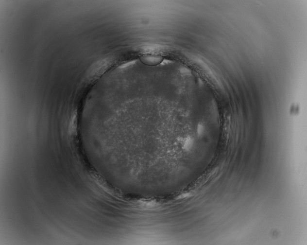 X0000102510502200808221820