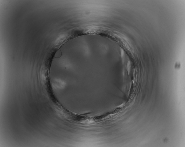 X0000102510503200808221820