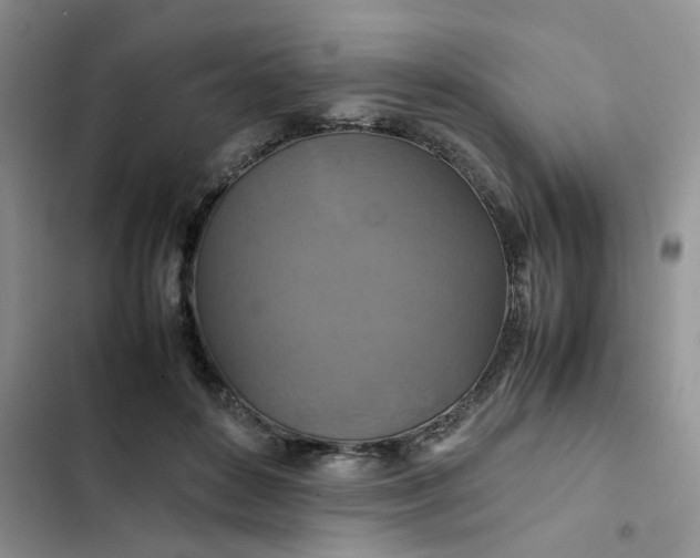 X0000102510504200808221820