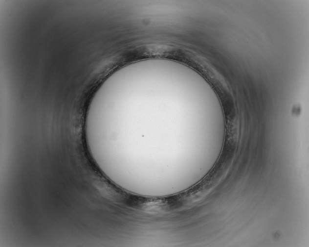 X0000102510505200808221820