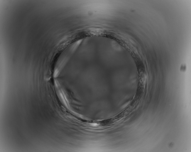 X0000102510507200808221820