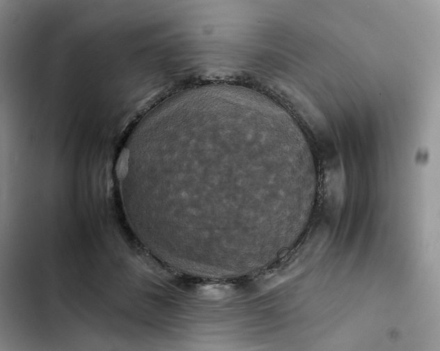 X0000102510508200808221820