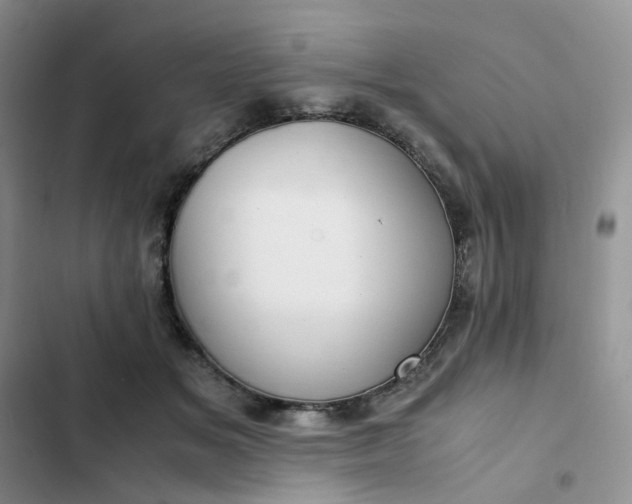 X0000102510509200808221820
