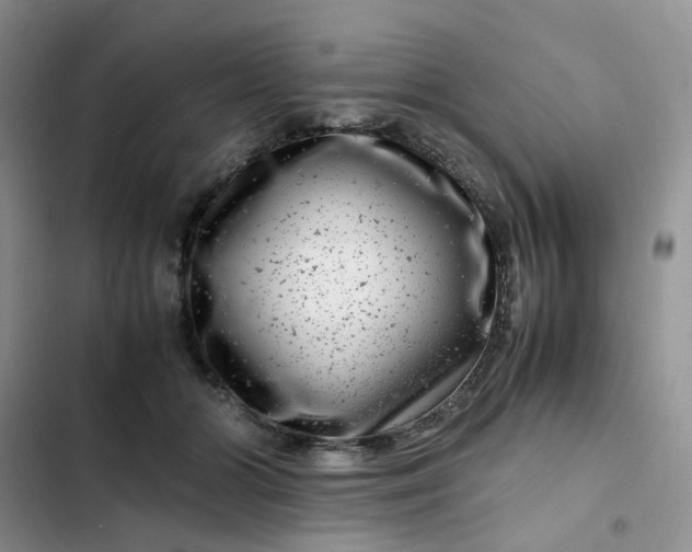 X0000102510510200808221820