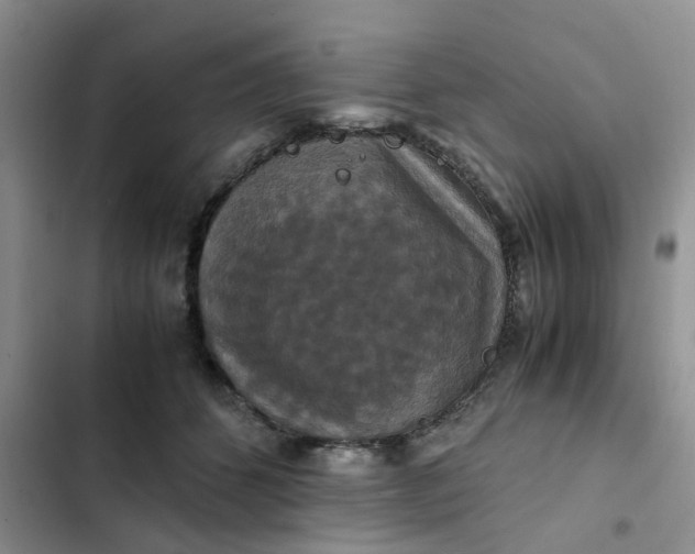 X0000102510512200808221820