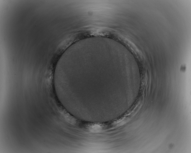 X0000102510513200808221820
