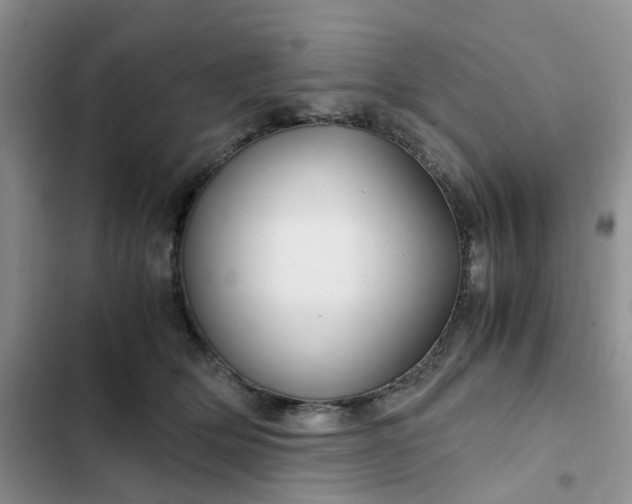 X0000102510514200808221820