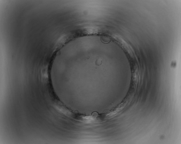 X0000102510516200808221820