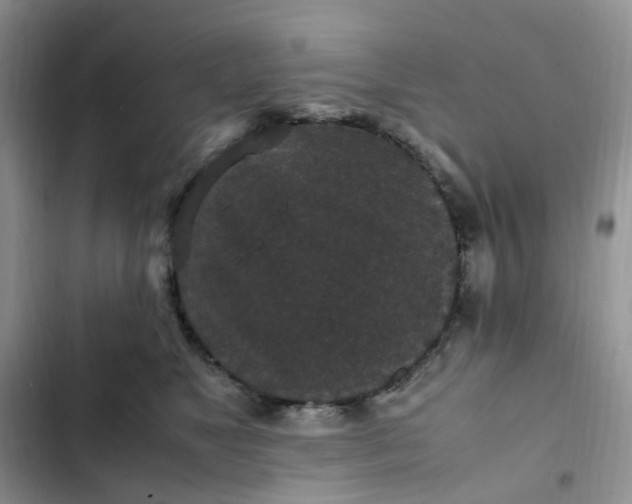 X0000102510517200808221820