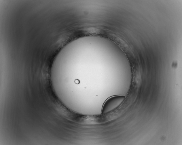 X0000102510518200808221820