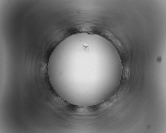X0000102510521200808221820