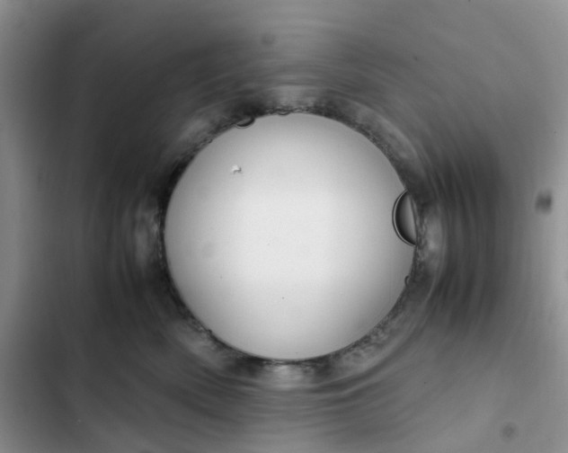 X0000102510522200808221820
