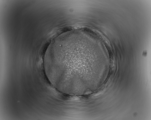 X0000102510523200808221820