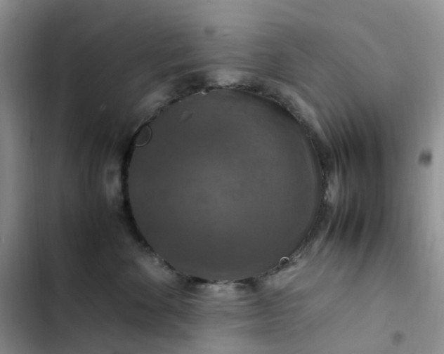 X0000102510524200808221820