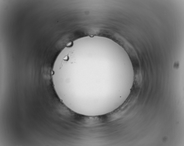 X0000102510525200808221820