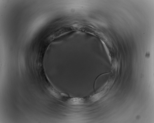 X0000102510526200808221820