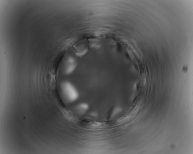 X0000102510527200808221820