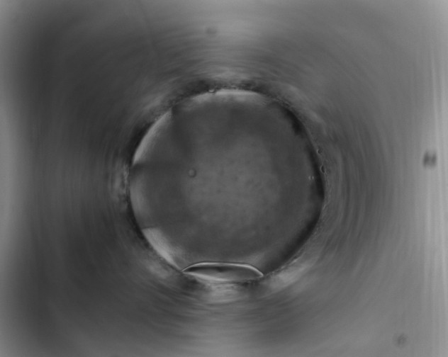 X0000102510528200808221820