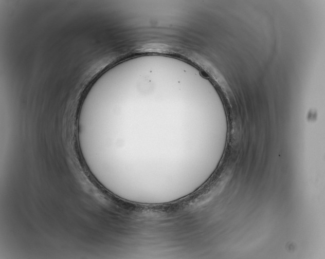 X0000102510529200808221819