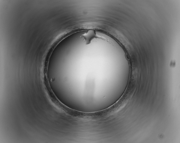 X0000102510530200808221819