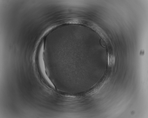 X0000102510531200808221819