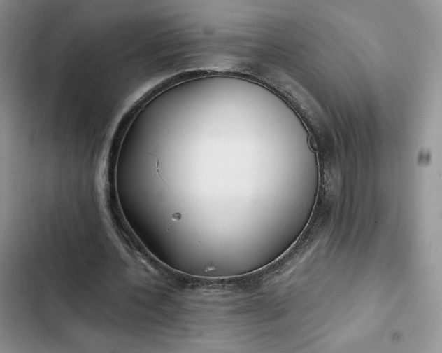 X0000102510532200808221819
