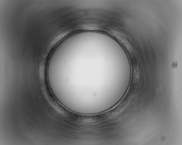 X0000102510533200808221819