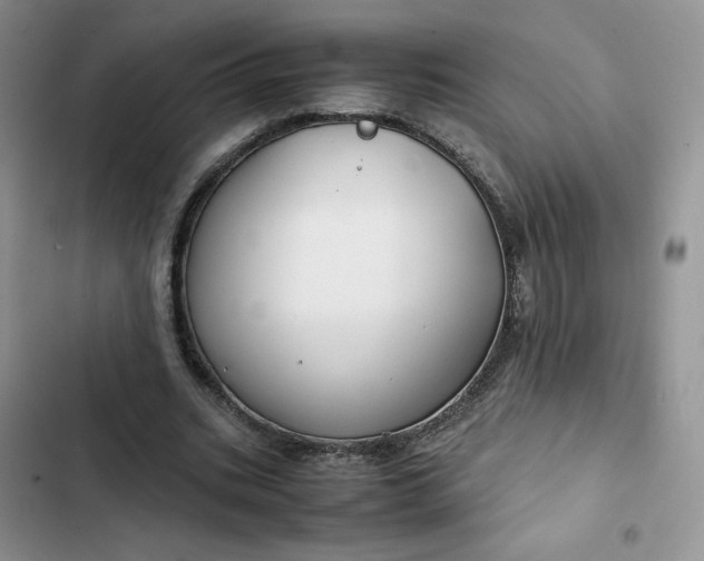 X0000102510535200808221819