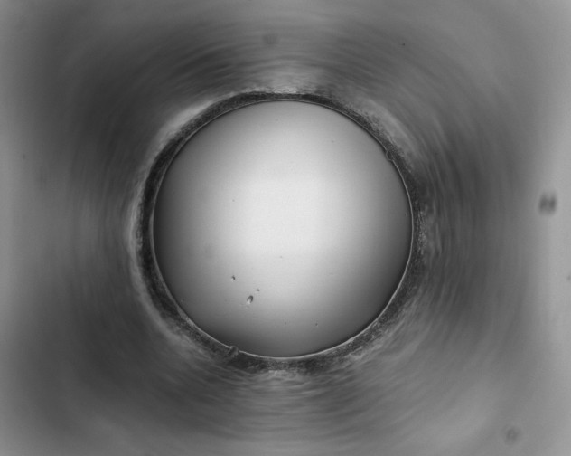 X0000102510536200808221819