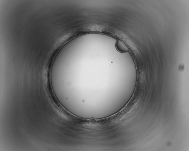 X0000102510537200808221819