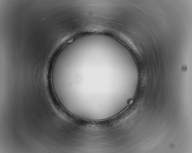 X0000102510538200808221819