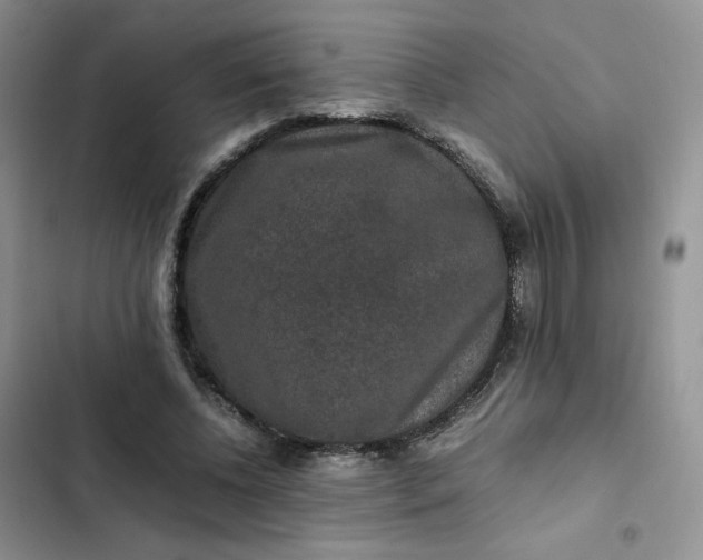 X0000102510540200808221820