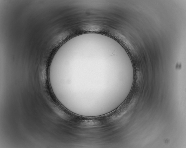 X0000102510541200808221820