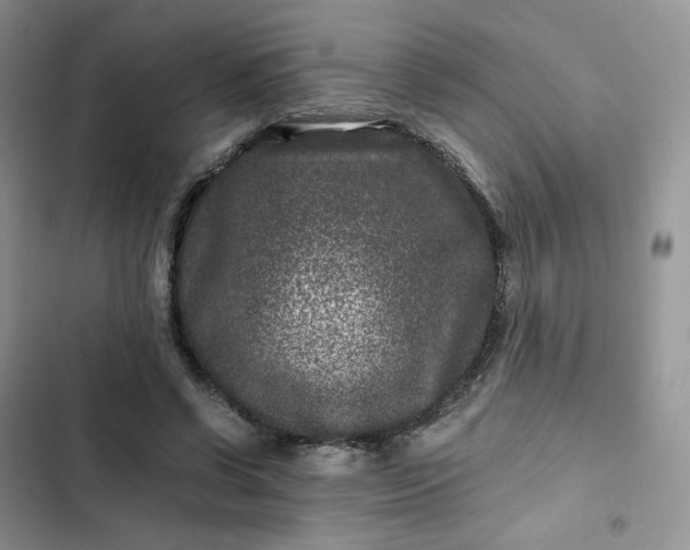 X0000102510542200808221820