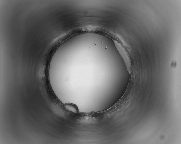 X0000102510543200808221820