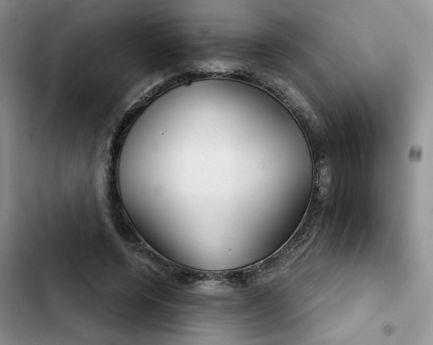 X0000102510544200808221820