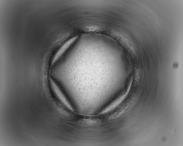 X0000102510545200808221820