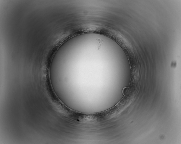 X0000102510546200808221820