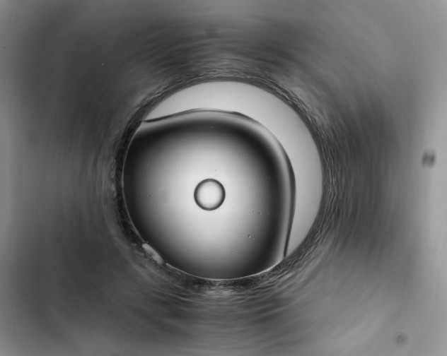 X0000102510547200808221820