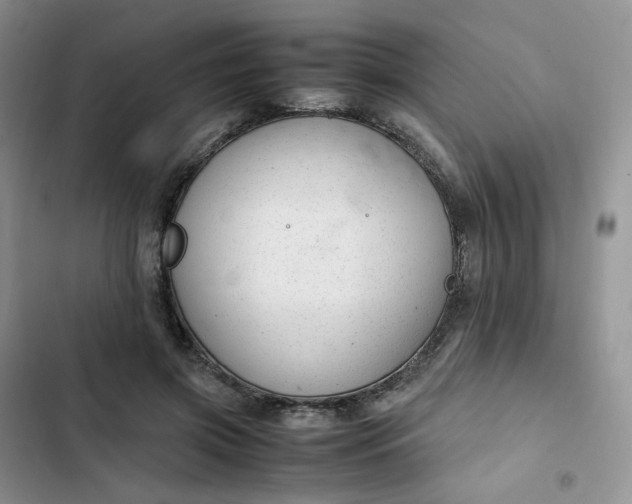 X0000102510549200808221820