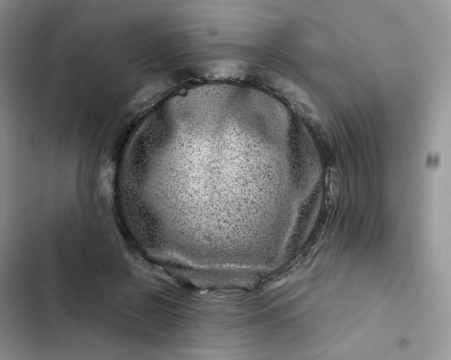 X0000102510550200808221820