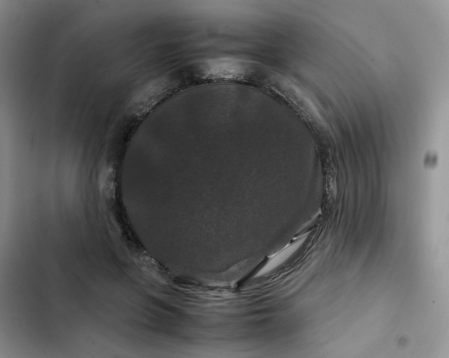 X0000102510551200808221820